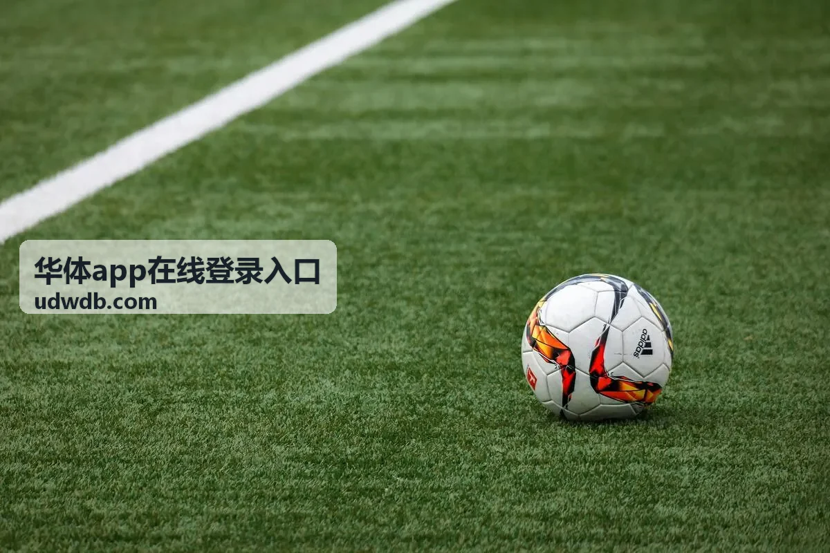 华体app在线登录入口平板与手机使用差异